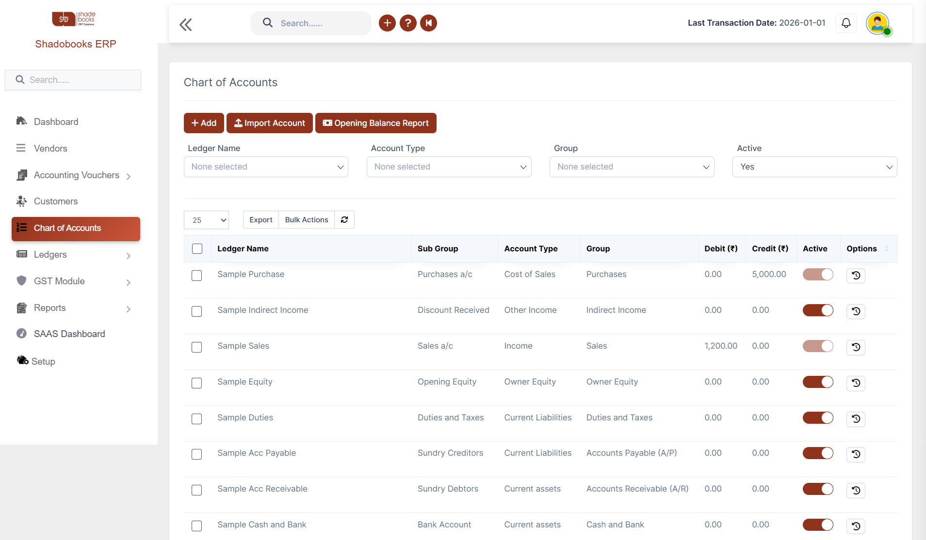 Chart of Accounts & Ledger Management Accounting Software