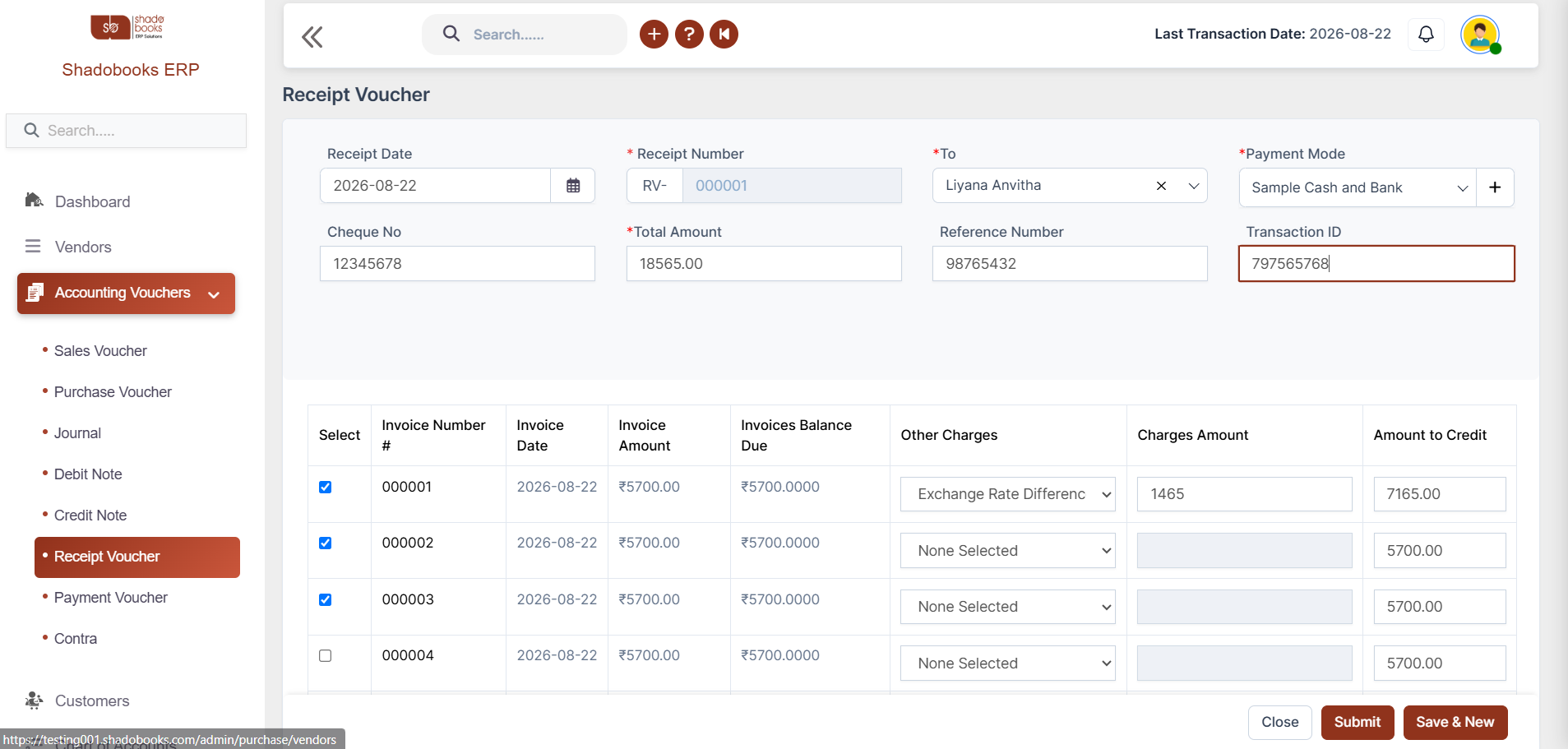Payment & Receipt Accounting Software
